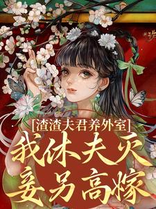渣渣夫君养外室，我休夫灭妾另高嫁