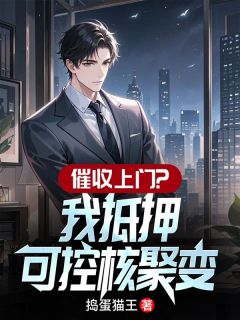 催收上门？我抵押可控核聚变