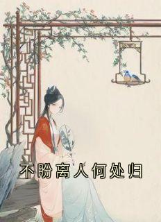 不盼离人何处归