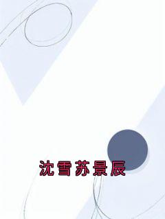 沈雪苏景辰