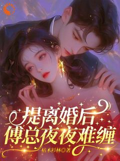 提离婚后，傅总夜夜难缠
