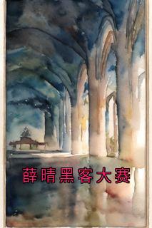 薛晴黑客大赛