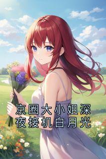 京圈大小姐深夜接机白月光