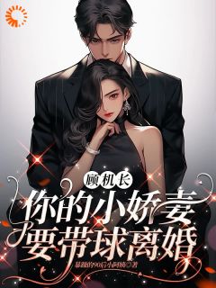 傲娇小妻带球跑，机长追爱不停歇