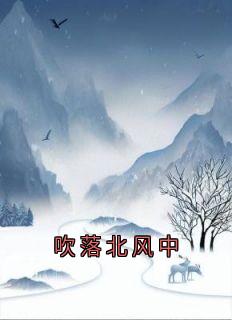 吹落北风中