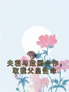 夫君与敌国合作，取我父皇性命