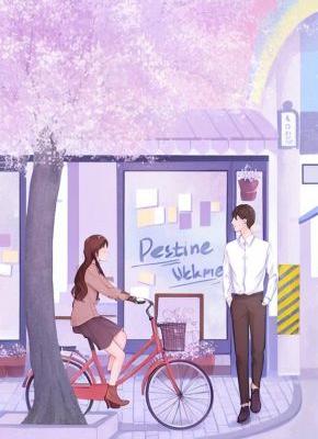 《男友逃婚后，我嫁给了海王二世祖》无广告阅读 沈哲傅霆烨赵菲语免费在线阅读