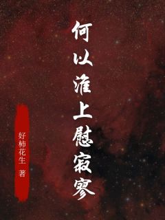 熬夜也要看完的何以淮上慰寂寥小说推荐