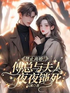 禁止离婚！傅总与夫人夜夜锁死(苏烟傅盛霆)全文完整版阅读