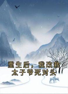 重生后，我改救太子爷死对头