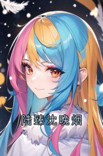 陆臻沈晚烟